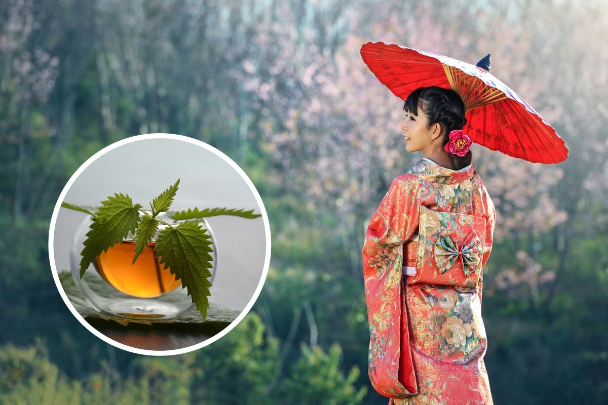 Ecco la tisana digestiva che bevono i giapponesi: riduce il gonfiore addominale
