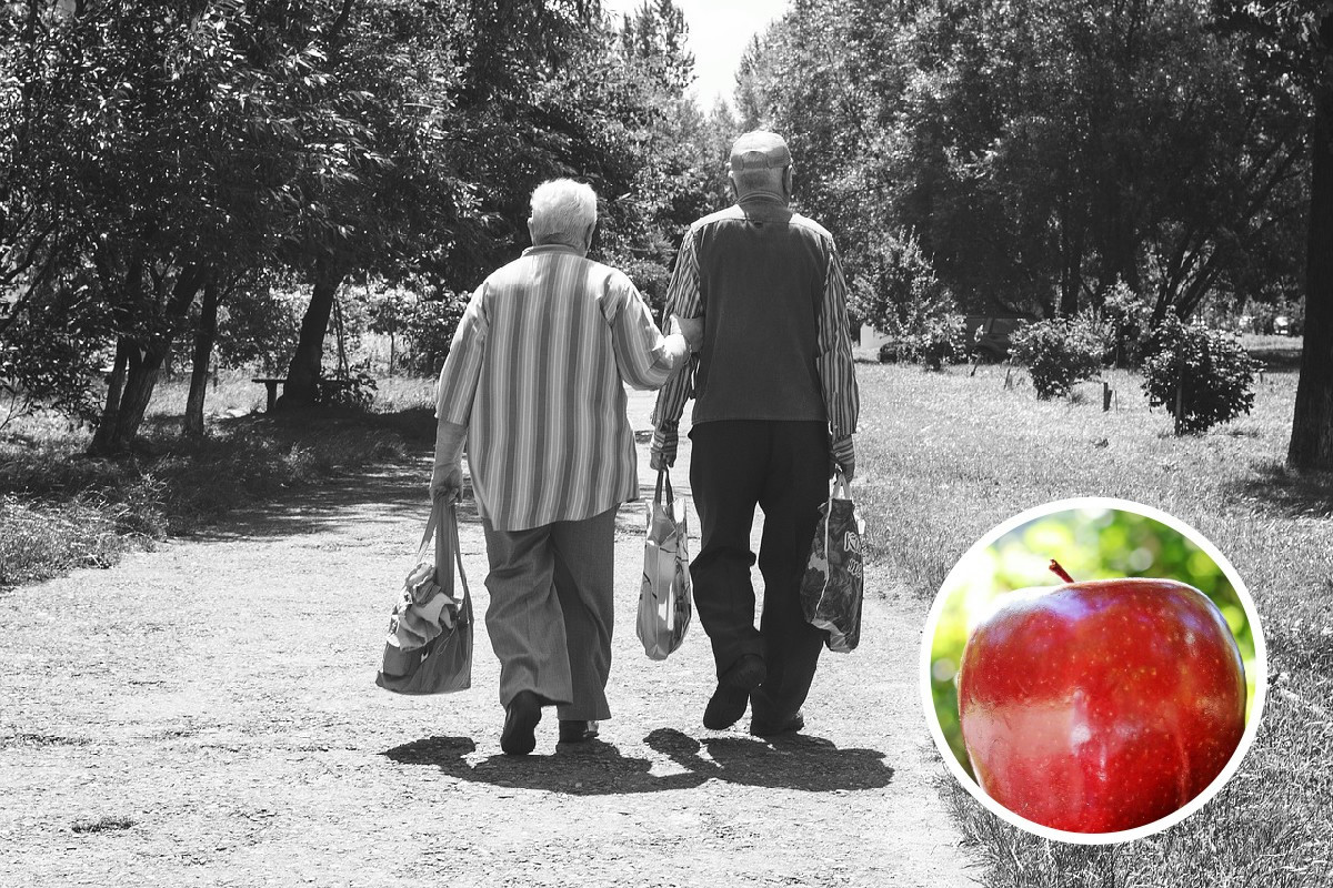Mela e anni lunghi: idee fresche e consigli gourmet per portare il benessere a tavola ogni giorno