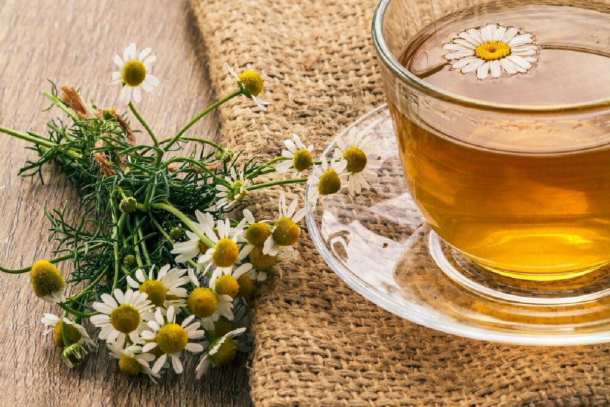 Camomilla: un alleato delicato per neonati, future mamme e il benessere quotidiano