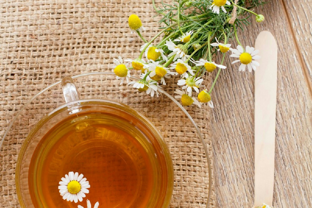 Camomilla: un alleato delicato per neonati, future mamme e il benessere quotidiano