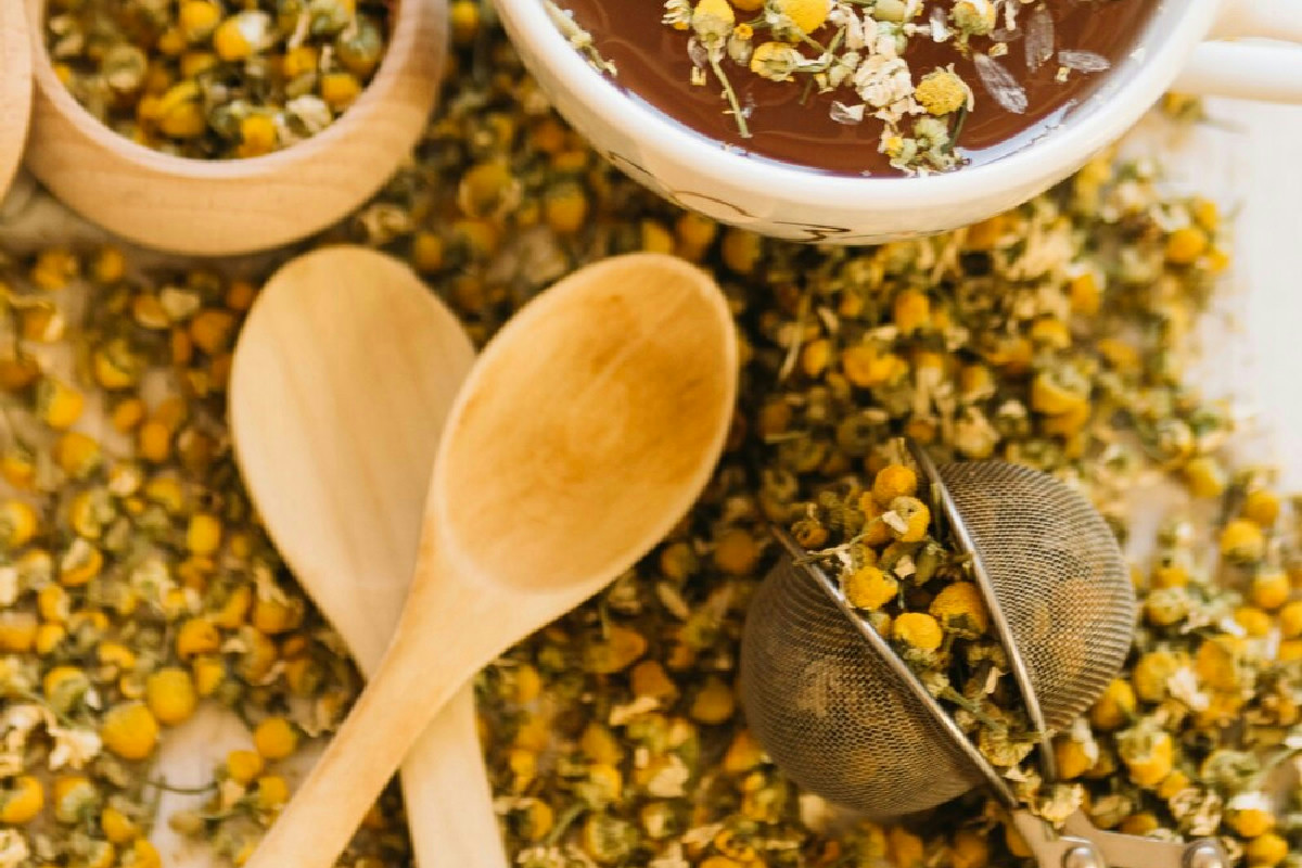 Camomilla: un rimedio naturale per neonati, gravidanza e benessere