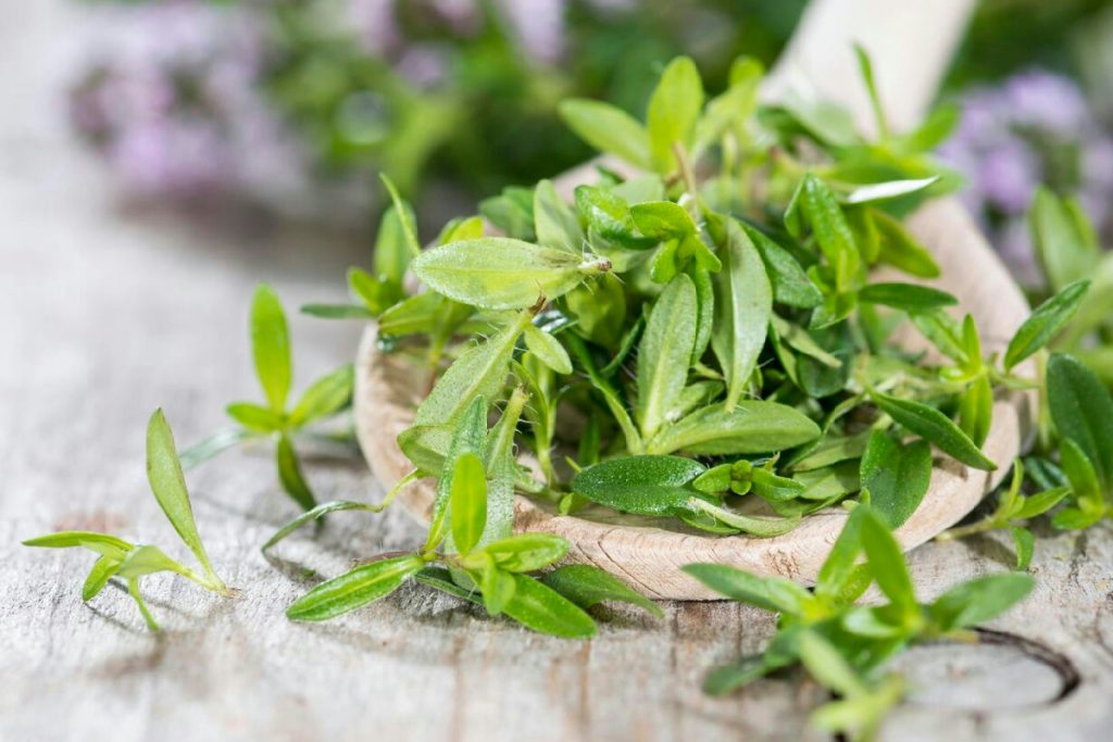 Erbe aromatiche sempre fresche in casa: come coltivare un angolo verde profumato anche d’inverno