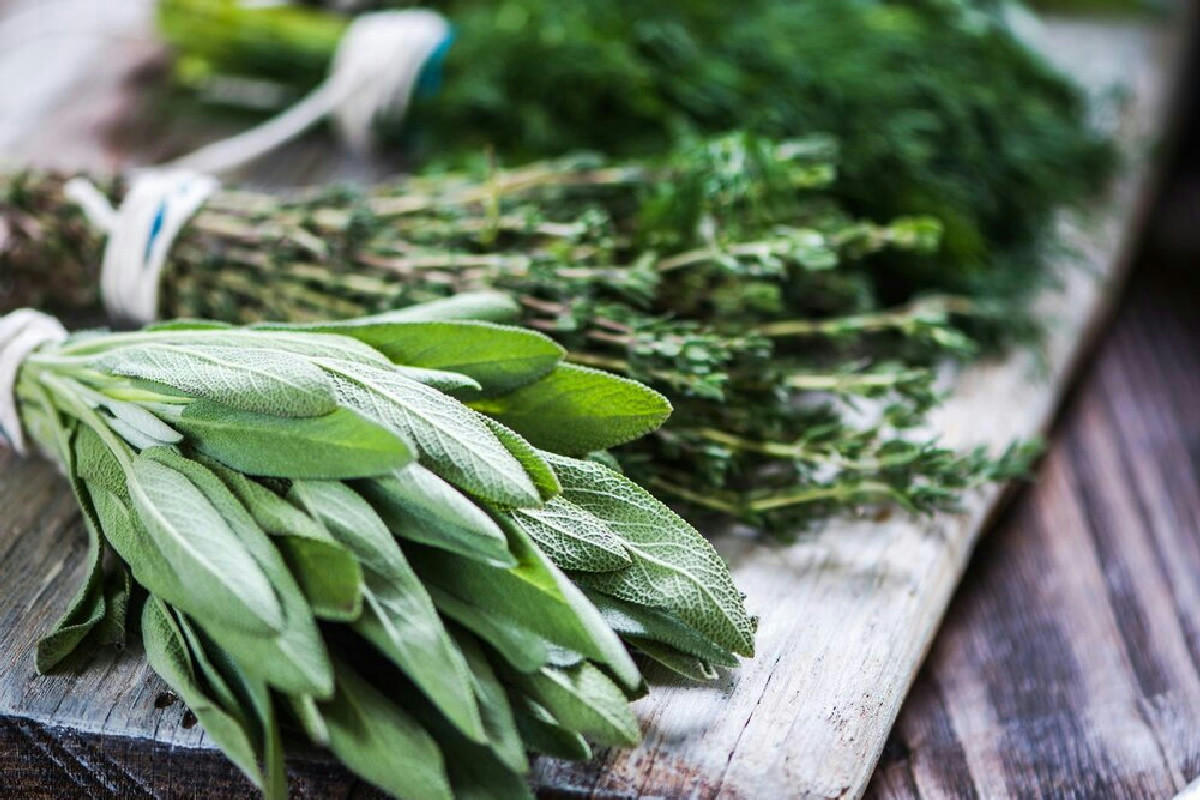 Scopri come coltivare in casa queste erbe aromatiche per rendere ogni piatto invernale più fresco e gustoso