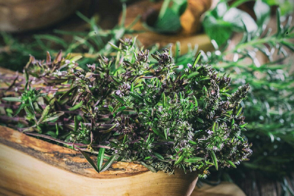 Scopri come coltivare in casa queste erbe aromatiche per rendere ogni piatto invernale più fresco e gustoso